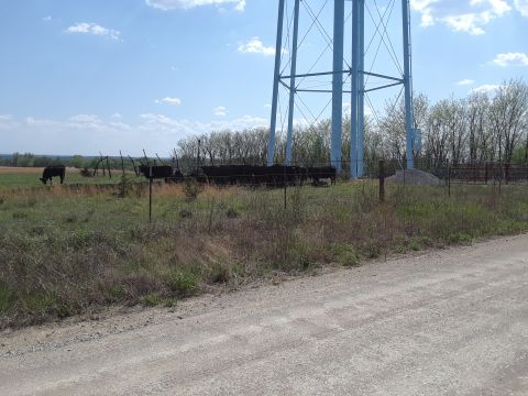 1994 Ford Bronco - A pastoral landscape features cattle in a field under a large water tower, with a dirt road in the foreground.