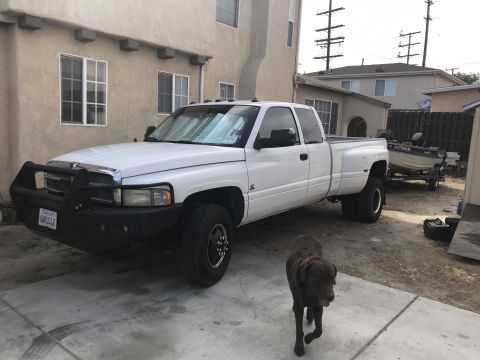 1997 Dodge 3500 - This 1997 Dodge 3500 dually pickup truck features a heavy-duty custom bumper and is parked in a driveway with a dog nearby.