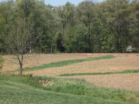 2008 Ford F-150 - A rural landscape a tilled farm field with trees in the background.