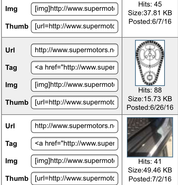 Screenshot of SuperMotors photo sharing-link fields with hit counts and file sizes