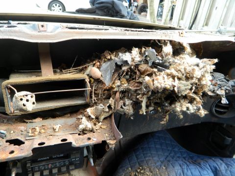 1969 Mercury Cougar - The interior of a car is filled with debris, obscuring most of the dashboard components.
