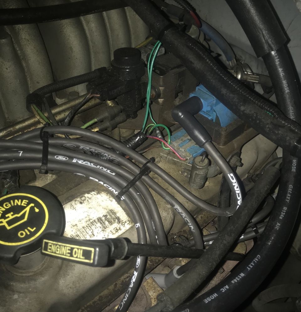 Engine bay with "Ford Racing" spark plug wires and an "Engine Oil" cap