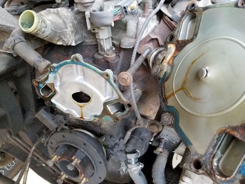 1996 Ford Bronco - Well, THERE'S your problem! Fortunately, the oil came out clean, so virtually no coolant went into the crankcase before the engine stopped.…