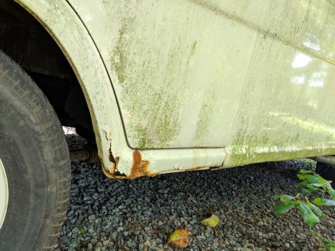 1971 Ford Ranchero - The lower body panel of a vehicle shows significant rust and is covered in moss, indicating neglect.
