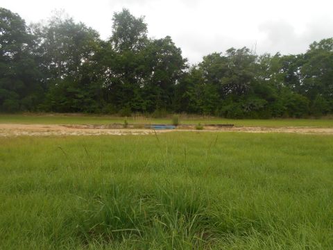 1992 Ford Bronco - A wide shot of a grassy field with trees in the background and a dirt path cutting through the middle.
