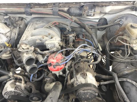 1996 Ford Bronco - Close-up view of a vehicle's engine bay, an MSD distributor and a SuperMotors watermark.