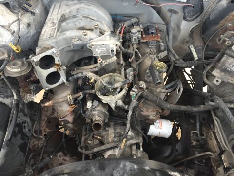 1996 Ford Bronco - Engine bay details with V8 engine components visible, including Ford branding on the oil cap.