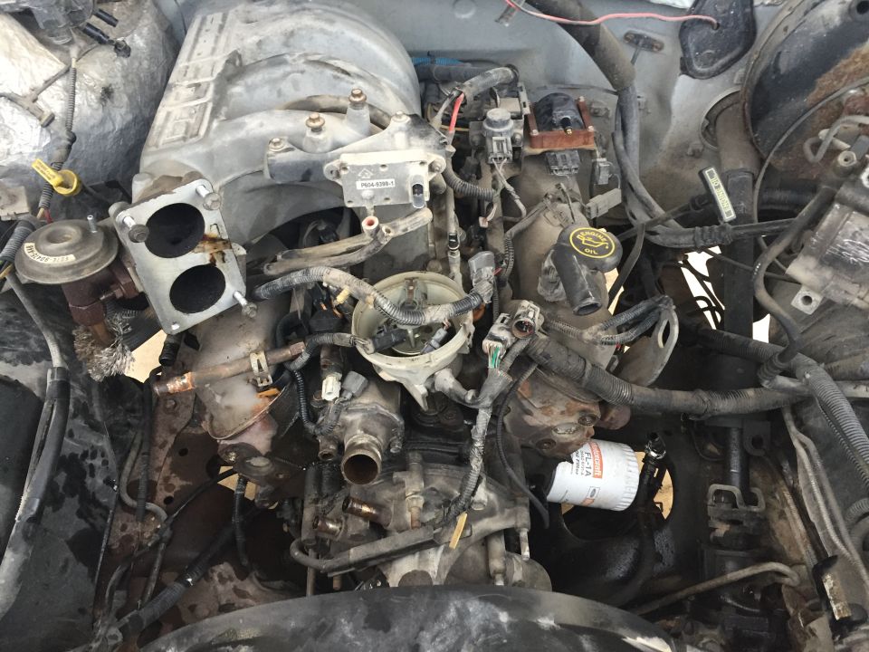 Engine bay showing V8 engine components, including intake manifold, distributor, and oil filter. Ford logo visible on oil cap