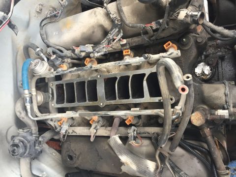 1996 Ford Bronco - Close-up view of engine components, including the fuel rail and intake manifold.
