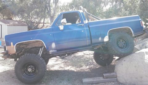1979 Chevrolet C/K Pickup photo
