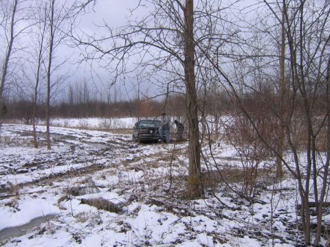 1994 Ford Bronco - Winch hooked to tree