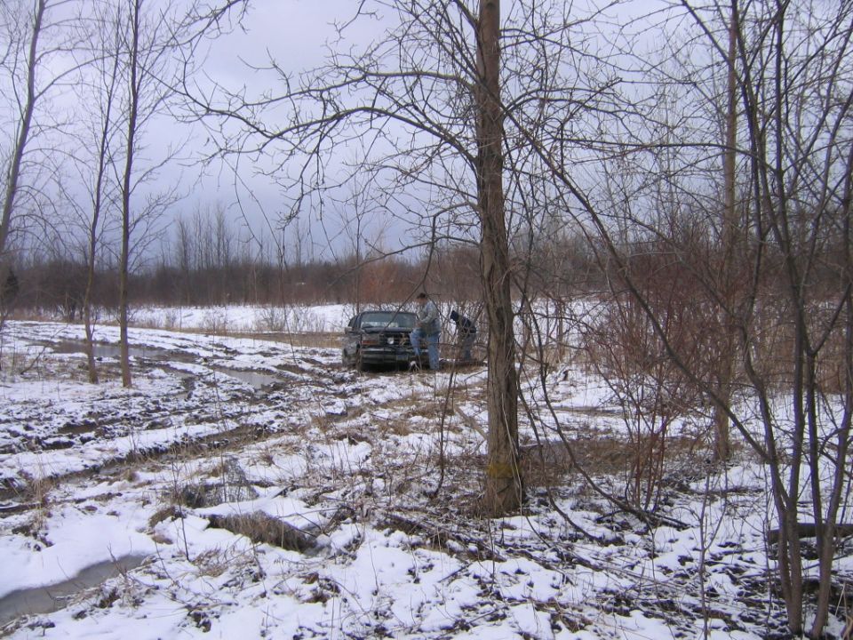 Winch hooked to tree