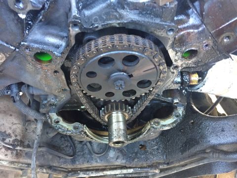 1996 Ford Bronco - Close-up view of the engine's timing chain and gears, with a hint of green fluid.