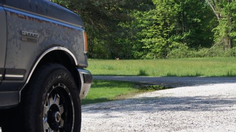 1987 Ford Bronco - A 1987 Ford Bronco is partially visible in the foreground, with a deer in the distant field.