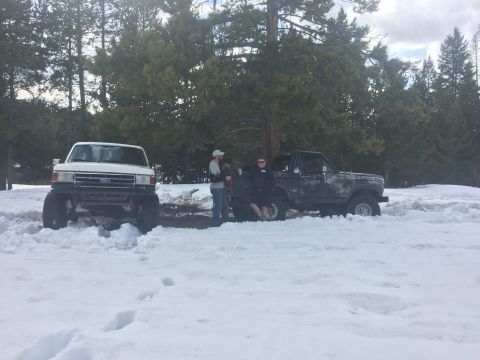 1989 Ford Bronco photo