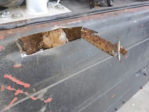 1968 Ford Bronco - A close-up view shows a rusted-out section of a vehicle's body panel with a hole revealing internal structure and what appears to be nestin…