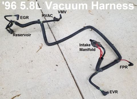 1996 Ford Bronco - '96 5.8L Engine Vacuum Harness (no 2ndry air or MAP) [url=https://www.supermotors.net/registry/media/1151310] https://www.supermotors.net/g…
