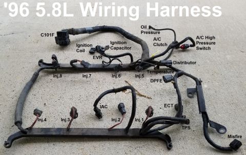 1996 Ford Bronco - '96 5.8L Engine Wiring Harness