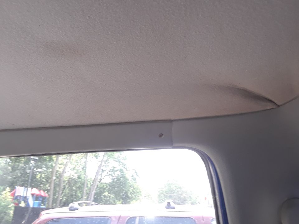 Interior view of vehicle headliner and window looking out at trees and another vehicle.