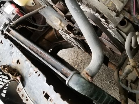 2001 Ford Crown Victoria - Photograph of engine accessory belt and radiator hose, not a technical document.