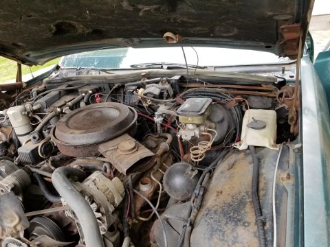 2001 Ford Crown Victoria - Photograph of an engine bay under an open hood, not a technical document.