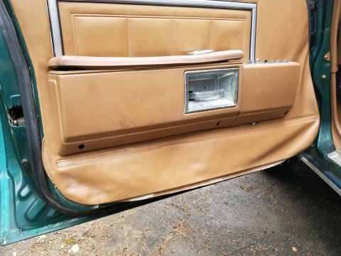 2001 Ford Crown Victoria - Close-up of a tan interior door panel, showing the armrest, door handle, and window controls.