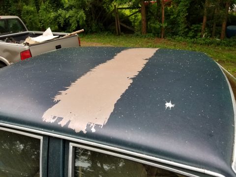 2001 Ford Crown Victoria - The roof of a dark blue car shows a wide, uneven stripe of tan paint, with a bird dropping nearby.