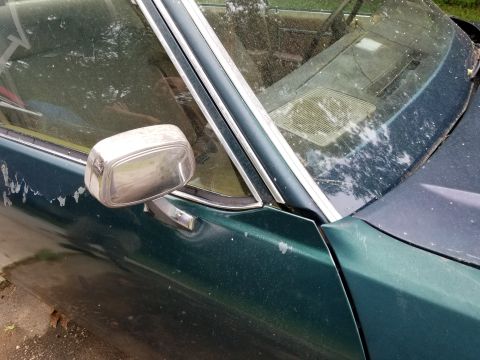 2001 Ford Crown Victoria - Side view of a green car showing the door and side mirror with visible paint damage.