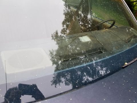 2001 Ford Crown Victoria - View of the dashboard and steering wheel through the windshield, showing reflections.