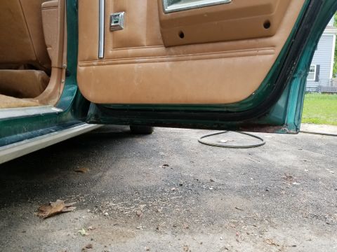 2001 Ford Crown Victoria - Interior view of a green vehicle's door panel and threshold, showing tan upholstery and the exterior ground.