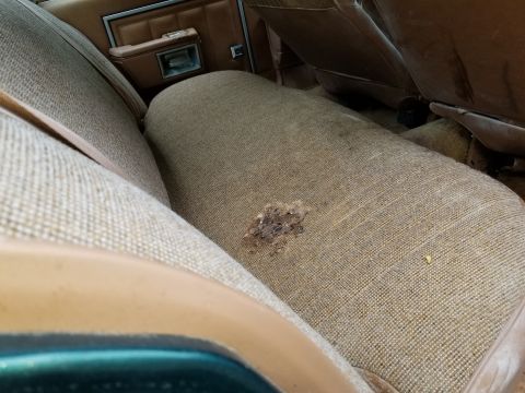 2001 Ford Crown Victoria - Back seat interior of a car with worn fabric and a small damaged spot.