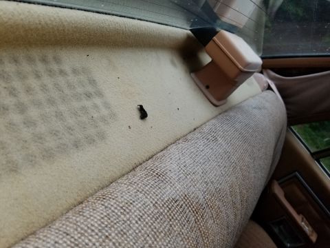 2001 Ford Crown Victoria - The interior of a car shows wear and tear on the upholstery and door panel.