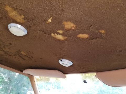 2001 Ford Crown Victoria - The headliner in this car is falling apart, revealing the foam underneath.