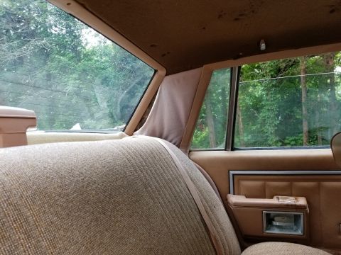 2001 Ford Crown Victoria - The interior of a car shows the rear seat and door panel, with trees visible through the windows.