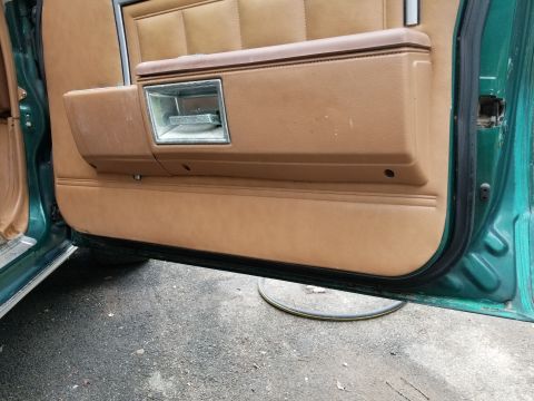2001 Ford Crown Victoria - Interior view of a car's door panel, showing brown upholstery and a chrome door handle.