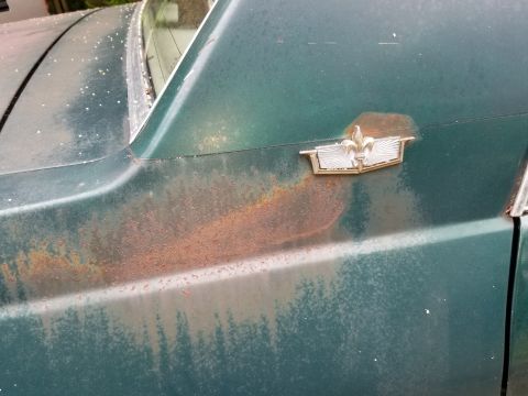 2001 Ford Crown Victoria - A close-up view of a rusty green car fender shows a decorative emblem with a fleur-de-lis design.