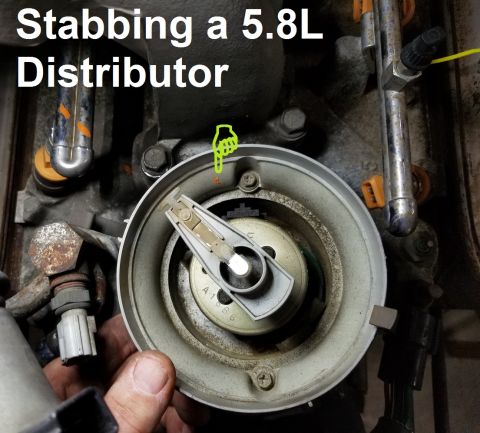 1983 Ford Bronco - Stabbing a V8 distributor To get the rotor in the correct position, set the engine at #1 TDC (0°), and point the rotor just forward (right,…