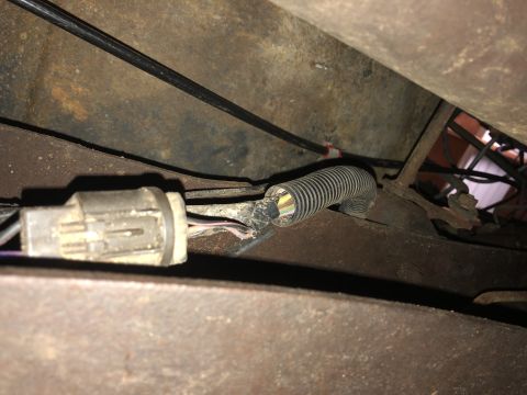 1980 Ford Bronco - Damaged wiring harness connector and protective conduit on a vehicle frame.