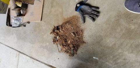 1974 Plymouth Duster - all the rust that came out after I removed the outer quarter skin. Pass side