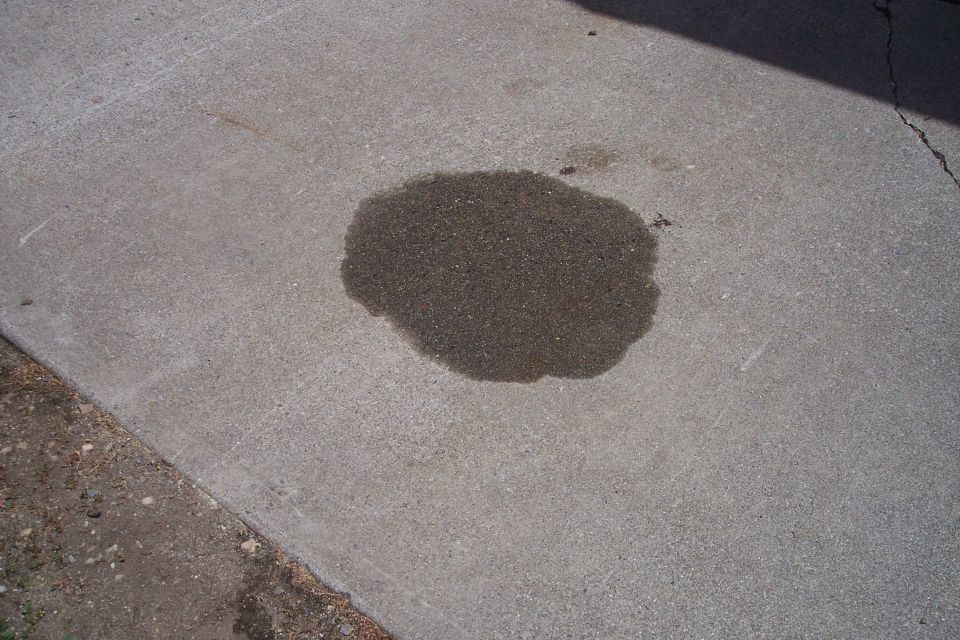 A dark wet stain on a concrete surface.