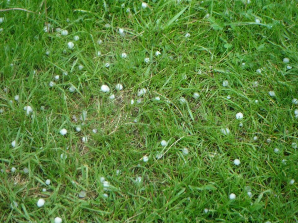 Hailstones on grass