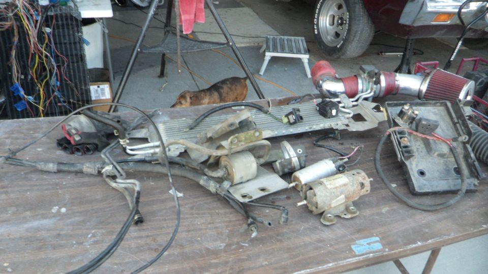 Disassembled car parts on a table with a dog in the background.