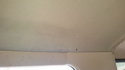 1985 Ford Bronco - The interior headliner of a vehicle shows some light staining and a small dark spot near the center right. The upper edge of the interior t…