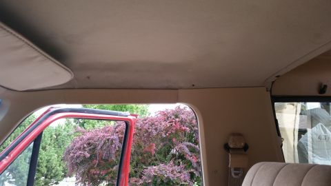 1985 Ford Bronco - Interior view of a vehicle's headliner and upper door frame, with a red door and a glimpse of purple foliage through the window.