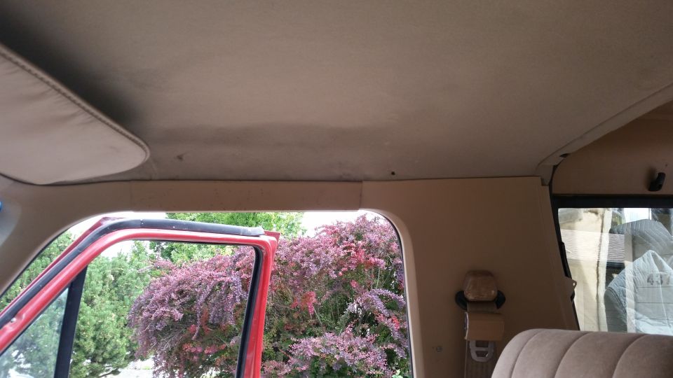 Interior view of a vehicle headliner, red door, and foliage outside.