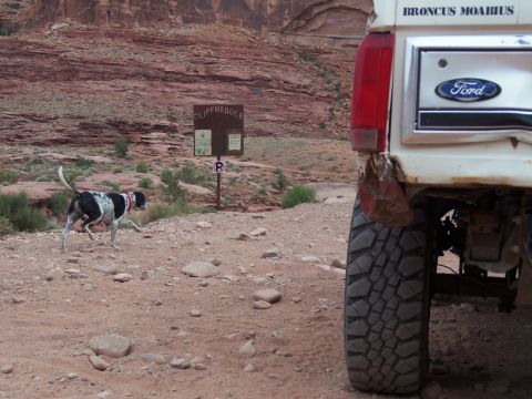 1984 Ford Bronco - A dog runs past a 'Cliffhanger' sign next to a white 1984 Ford Bronco in a rocky, desert landscape.