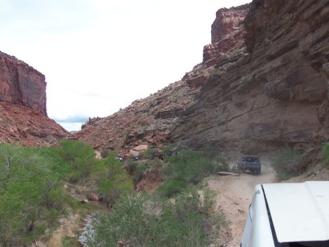 1984 Ford Bronco - A convoy of off-road vehicles travels through a scenic canyon with red rock formations and sparse vegetation.