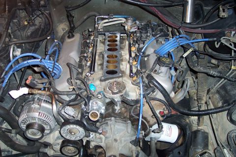 1995 Ford Bronco - Close-up view of an engine bay, blue spark plug wires and an oil filter.