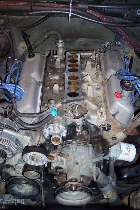1995 Ford Bronco - Close-up view of a V8 engine bay with the intake manifold removed, revealing internal components and wiring.