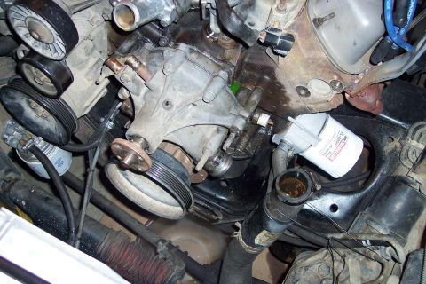 1995 Ford Bronco - Close-up view of engine components, including a Ford oil filter and various hoses and pulleys.
